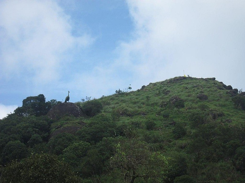 Murugan Hill